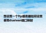 想设置一个ftp服务器如何设置番茄dualwan端口映射