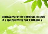 青山有幸埋忠骨白铁无辜铸佞臣出自哪首诗（青山有幸埋忠骨白铁无辜铸佞臣）