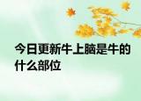 今日更新牛上脑是牛的什么部位