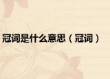 冠词是什么意思（冠词）