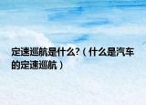 定速巡航是什么?（什么是汽车的定速巡航）