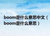 boom是什么意思中文（boom是什么意思）