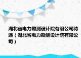 湖北省电力勘测设计院有限公司待遇（湖北省电力勘测设计院有限公司）