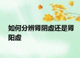 如何分辨肾阴虚还是肾阳虚