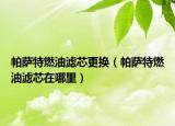 帕萨特燃油滤芯更换（帕萨特燃油滤芯在哪里）