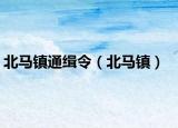 北马镇通缉令（北马镇）