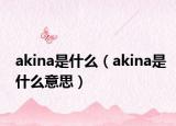 akina是什么（akina是什么意思）