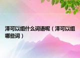泽可以组什么词语呢（泽可以组哪些词）
