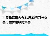 世界物联网大会11月23号开什么会（世界物联网大会）