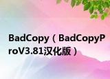 BadCopy（BadCopyProV3.81汉化版）