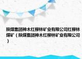 陕煤集团神木红柳林矿业有限公司红柳林煤矿（陕煤集团神木红柳林矿业有限公司）