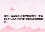 怎么在qq动态的评论里面发图片（手机QQ进行动态评论的时候如何添加图片优质）
