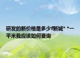研发的新价格是多少f新城* *一平米我应该如何查询
