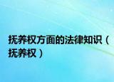 抚养权方面的法律知识（抚养权）