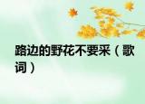 路边的野花不要采（歌词）