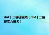 dnf十二使徒视频（dnf十二使徒实力排名）