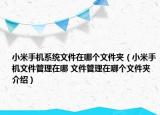 小米手机系统文件在哪个文件夹（小米手机文件管理在哪 文件管理在哪个文件夹介绍）