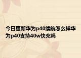 今日更新华为p40续航怎么样华为p40支持40w快充吗