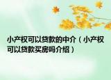 小产权可以贷款的中介（小产权可以贷款买房吗介绍）