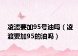 凌渡要加95号油吗（凌渡要加95的油吗）