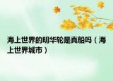 海上世界的明华轮是真船吗（海上世界城市）