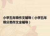 小学五年级作文辅导（小学五年级分类作文全辅导）
