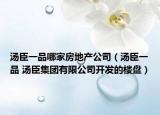 汤臣一品哪家房地产公司（汤臣一品 汤臣集团有限公司开发的楼盘）