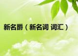 新名爵（新名词 词汇）