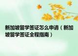 新加坡留学签证怎么申请（新加坡留学签证全程指南）