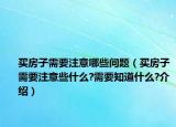 买房子需要注意哪些问题（买房子需要注意些什么?需要知道什么?介绍）