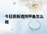 今日更新清炖甲鱼怎么做