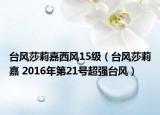 台风莎莉嘉西风15级（台风莎莉嘉 2016年第21号超强台风）