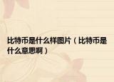 比特币是什么样图片（比特币是什么意思啊）