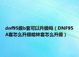dnf95级b套可以升级吗（DNF95A套怎么升级哈林套怎么升级）