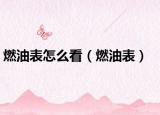 燃油表怎么看（燃油表）