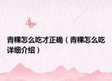 青稞怎么吃才正确（青稞怎么吃详细介绍）