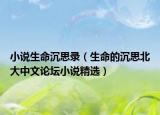 小说生命沉思录（生命的沉思北大中文论坛小说精选）