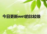 今日更新wet的比较级