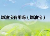 燃油宝有用吗（燃油宝）