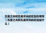 五菱之光和五菱荣光的区别在哪里（五菱之光和五菱荣光的区别是什么）