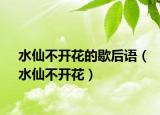 水仙不开花的歇后语（水仙不开花）