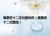 易筋经十二式分解动作（易筋经十二式图说）