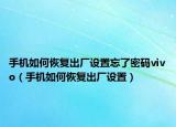 手机如何恢复出厂设置忘了密码vivo（手机如何恢复出厂设置）