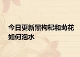 今日更新黑枸杞和菊花如何泡水