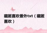 藏匿喜欢番外txt（藏匿喜欢）