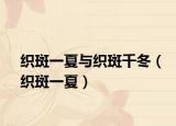 织斑一夏与织斑千冬（织斑一夏）