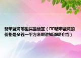 翡翠蓝湾哪里买最便宜（﻿﻿翡翠蓝湾的价格是多钱一平方米呢谁知道呢介绍）