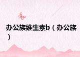 办公族维生素b（办公族）