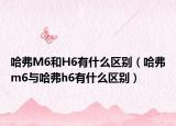 哈弗M6和H6有什么区别（哈弗m6与哈弗h6有什么区别）