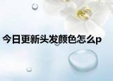 今日更新头发颜色怎么p
